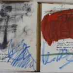 chants-de-la-gravitation-13