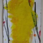 carnet 11 2010 feuilles spire3 021