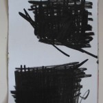 carnet 11 2010 feuilles spire3 030